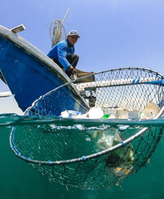 Image of 4ocean crew recovering ocean plastic with a net.