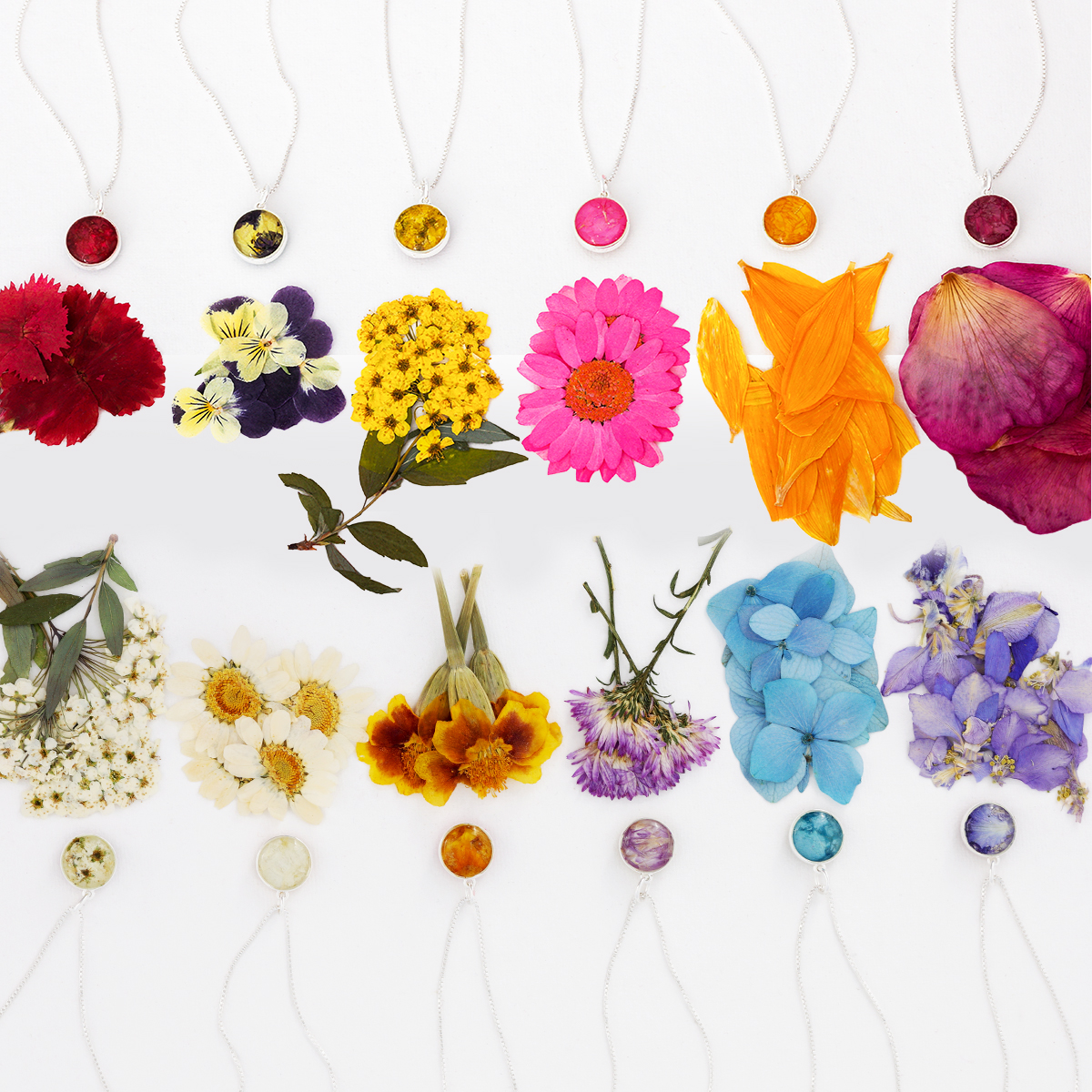 Product shot of 12 different birth month flower petals and jewelry featuring them.