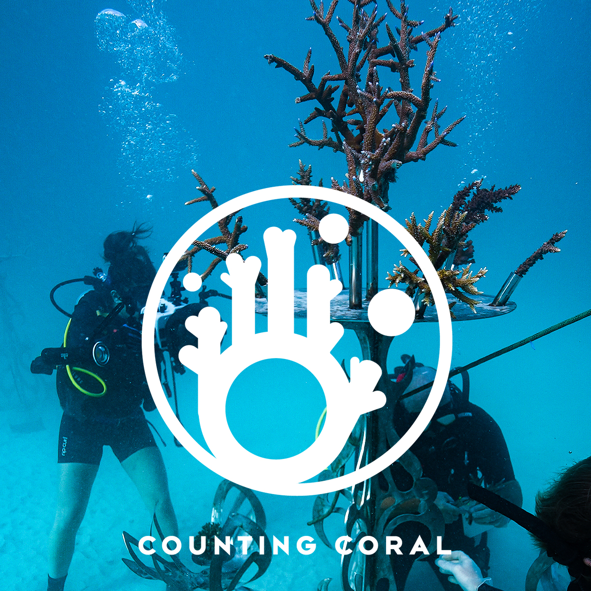 Under water photo of divers and coral with the Counting Coral logo and text overlaid atop.