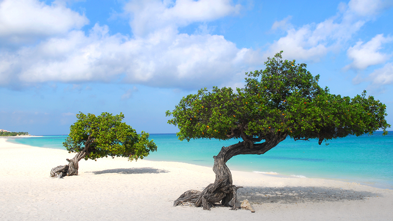 Eagle Beach, Oranjestad-West, Aruba has sand in Dune Jewelry's Sand Bank.