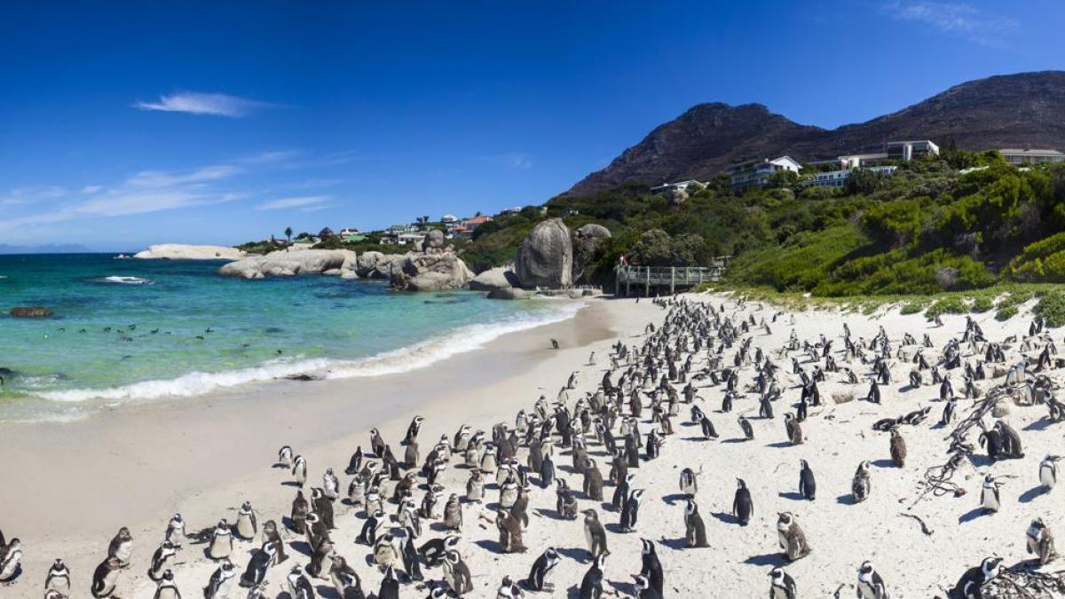 travel jewelry boulders beach South Africa