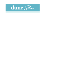 Toggle Link Chain - Dune SIlver