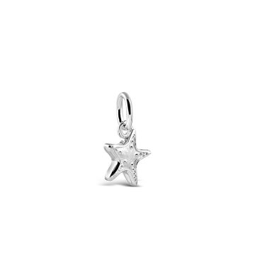 Collectible Travel Treasures Starfish Charm