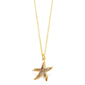 Explorer Delicate Starfish Necklace - Gold