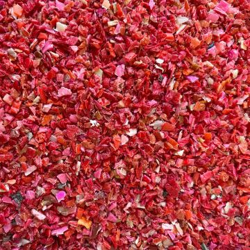 4ocean certified recovered Plastic - Bali Red
