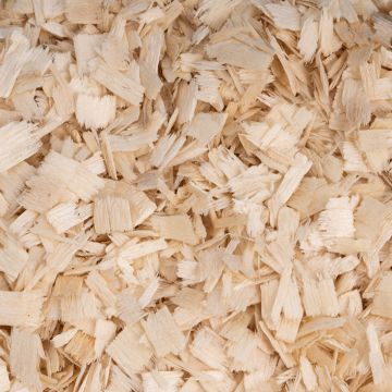 Lumberjack Shavings