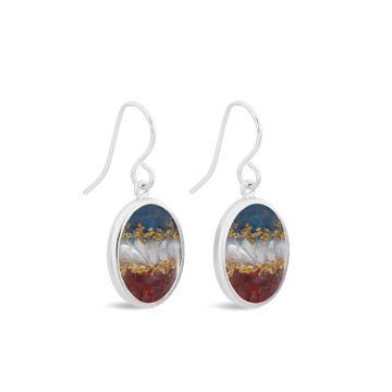 Stars & Stripes - Oval Drop Earrings - Silver