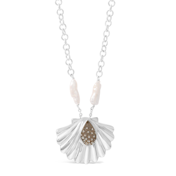 Coastal Shell Necklace - Diamond Gradient