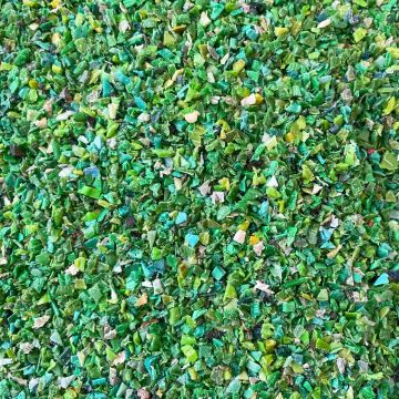 4ocean certified recovered Plastic - Bali Green