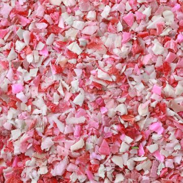 4ocean certified recovered Plastic - Florida Pink