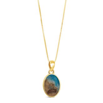 Limited Edition - Shark Week Sandrop Necklace - 14k Gold Vermeil